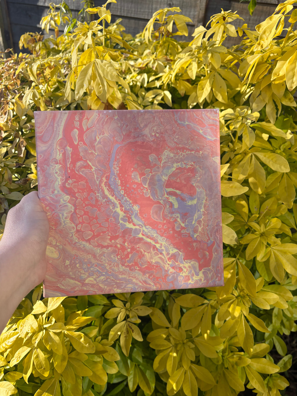 Coral Reef (mini)