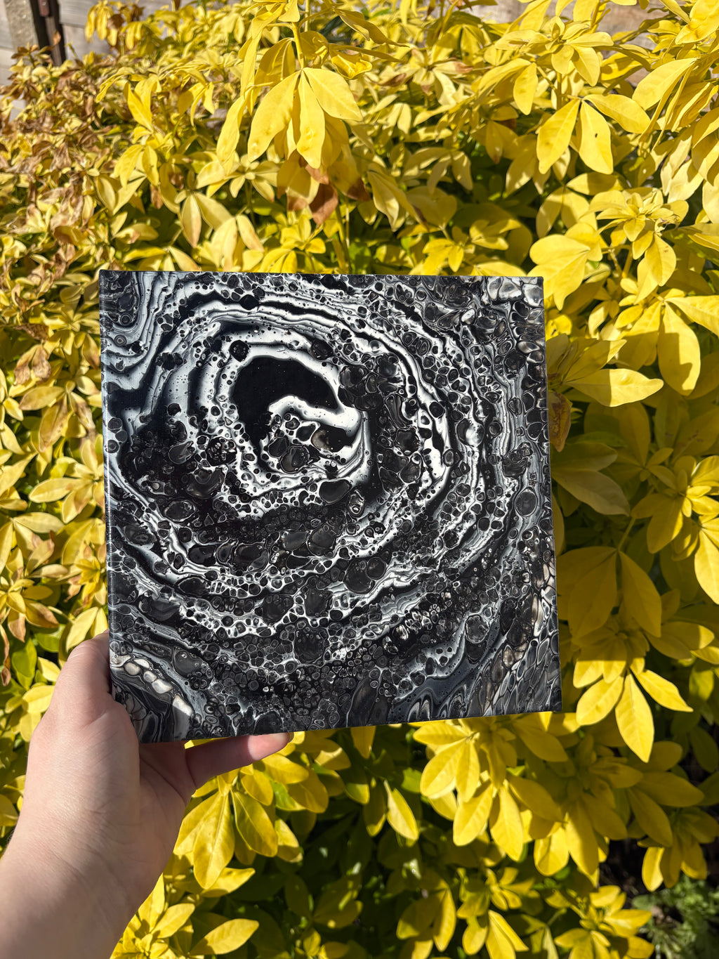 Whirlpool