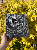 Whirlpool