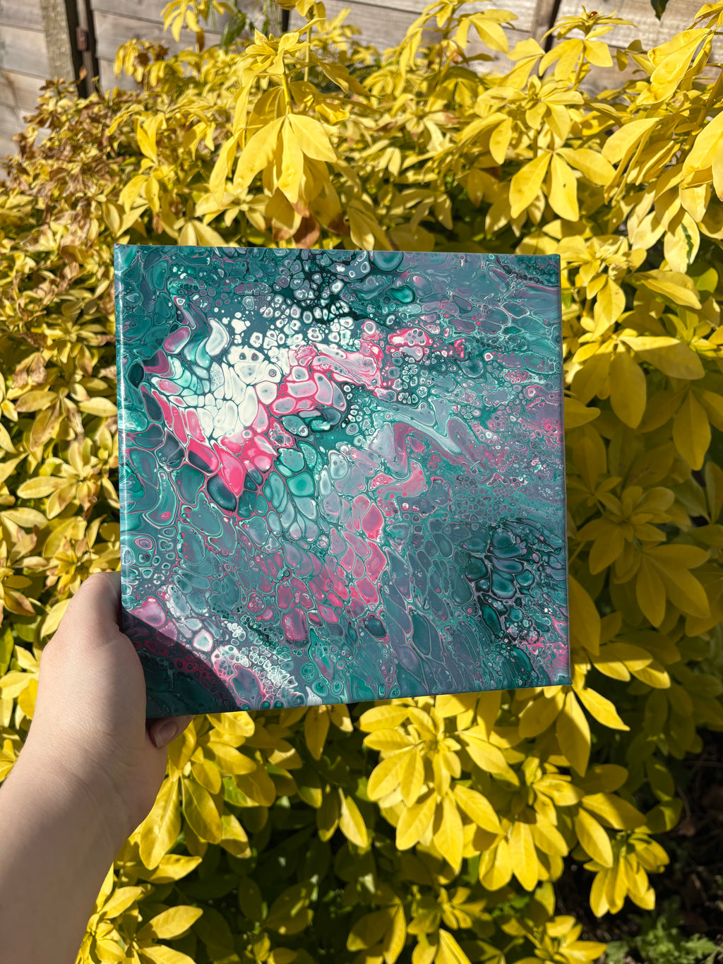 Solar Bloom