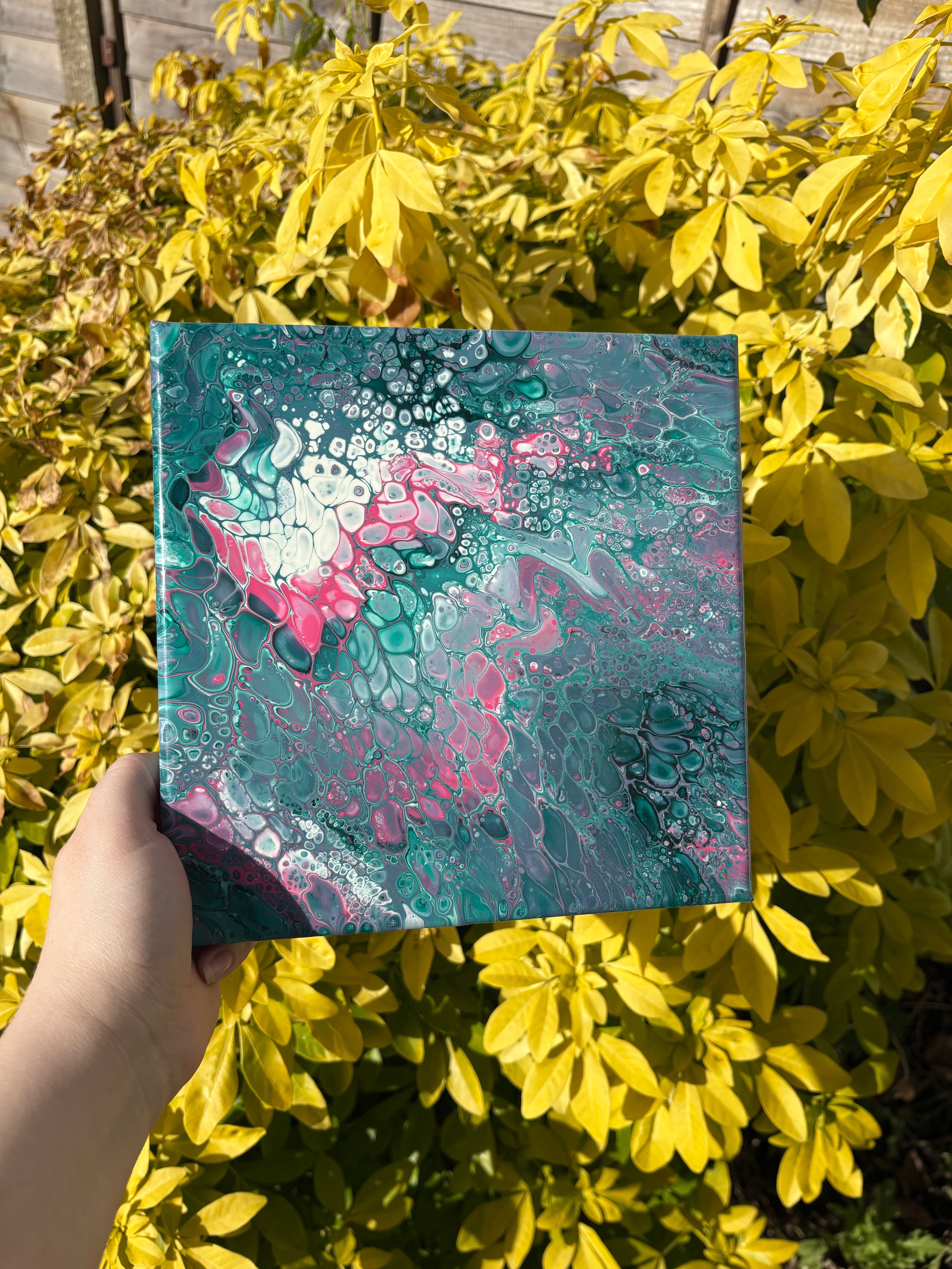 Solar Bloom