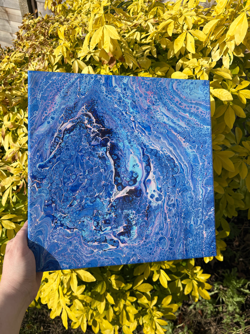 Sapphire Surge