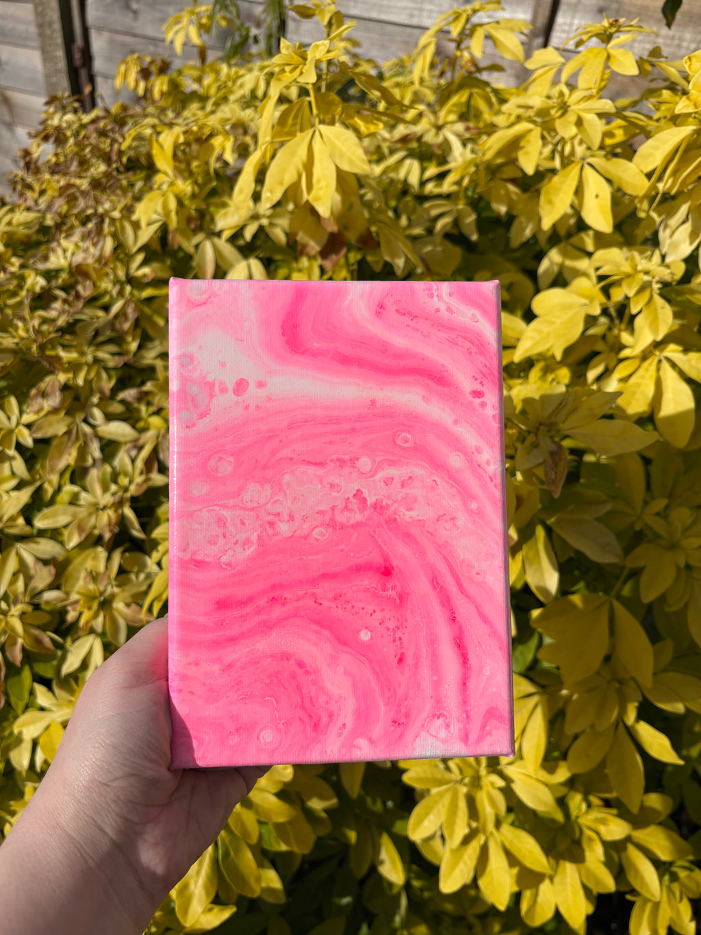 Mini Pink