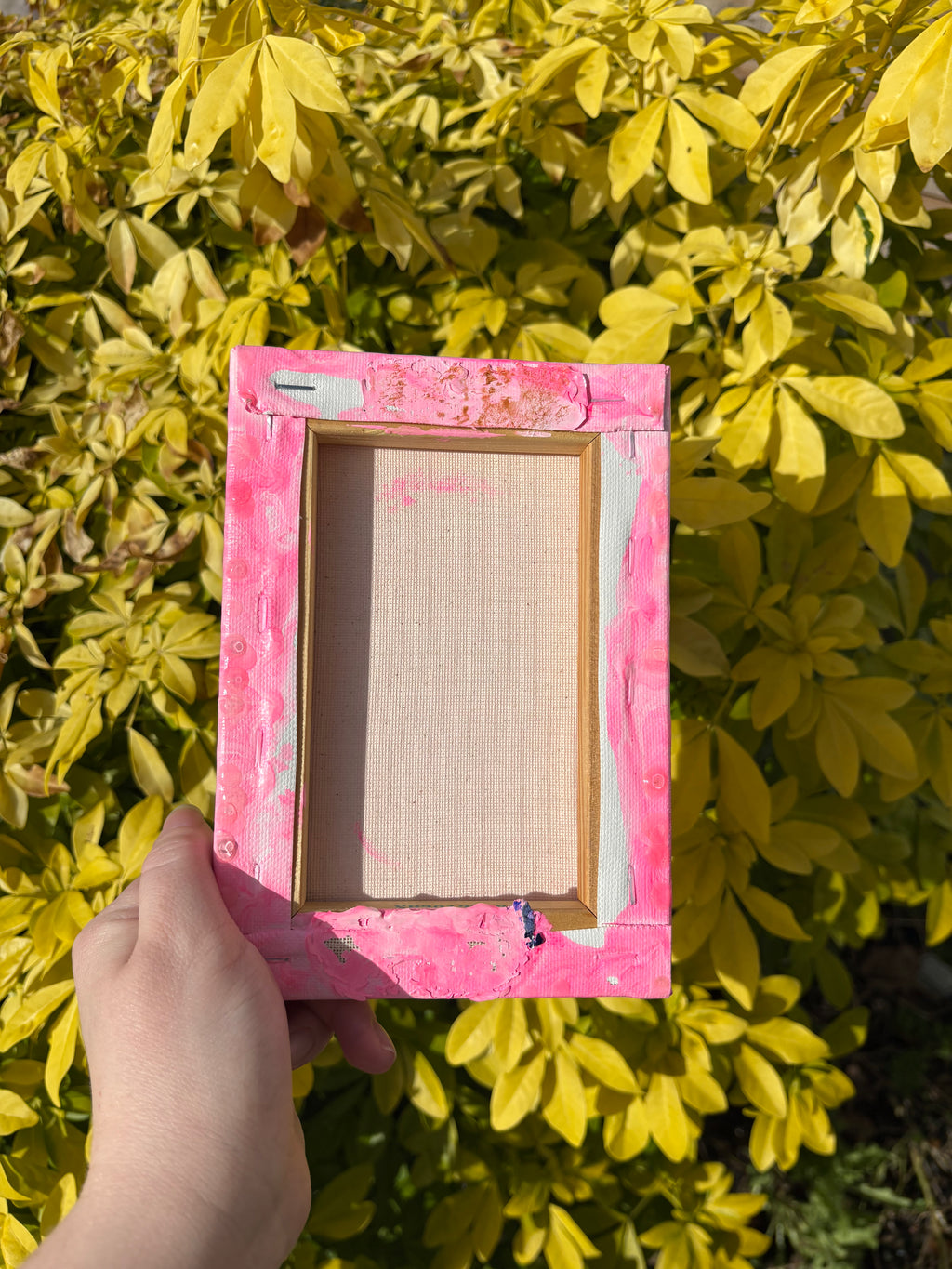 Mini Pink