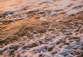 Ocean Waves