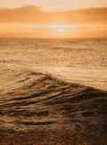 Ocean Waves